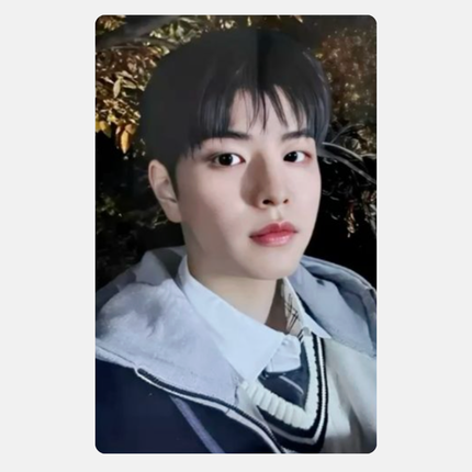 合 (HOP) JYP SHOP NEMO VER.