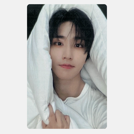 合 (HOP) JYP SHOP BLANKET POB