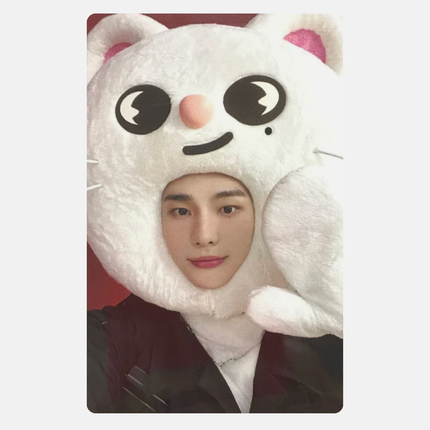 MAXIDENT JYP SHOP POB